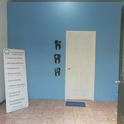 Odontologia Integral Bertha Martín
