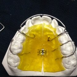 Odontología Integral