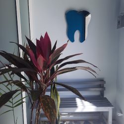 Odontologia Integral