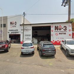 Odontologia Integral