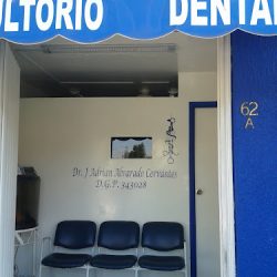 Odontologia Integral