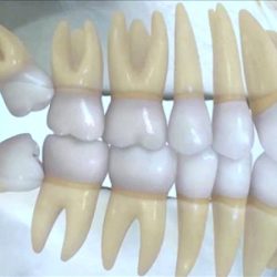 OdontologÍa Integral Profesional