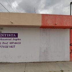 Odontologia Integral Y Endodoncia