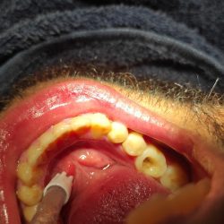 Odontología Integral Y Ortodoncia 