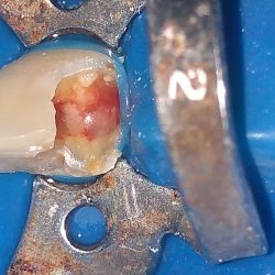 OdontologÍa Integral Y Ortodoncia