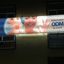 Odontologica De México