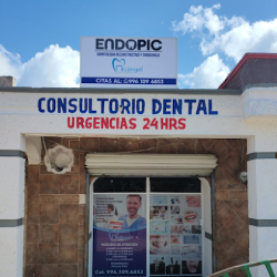 OdontologÍa Reconstructiva Y Endodoncia