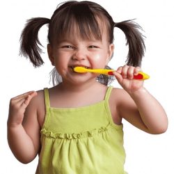 Odontopediatria En Nezahualcóyotl