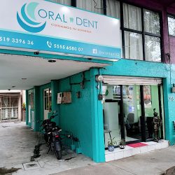 Oral Dent
