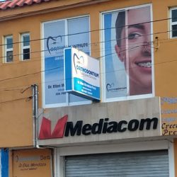 Orthodontium