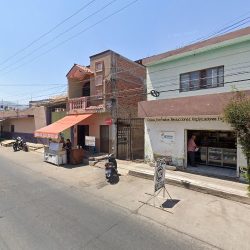 Orthoestetic Jacona