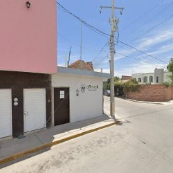 Orthox Imagen Dental