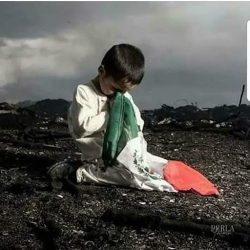 Negocio Orto-diagnostico