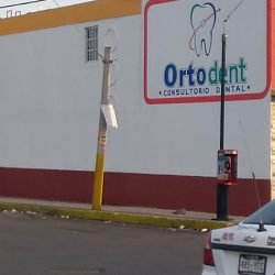 Ortodent
