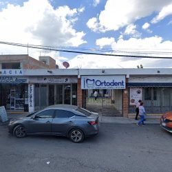 Ortodent