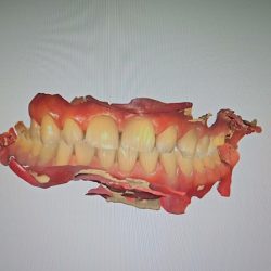 Ortodent