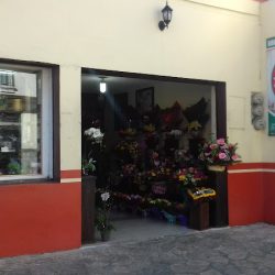 Ortodoncia Dr. Rodríguez