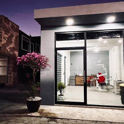 Ortodoncia Y Estética Dental