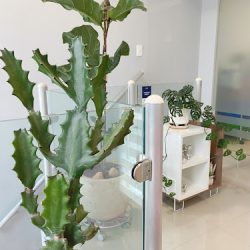 Ortodoncia Y Odontología Familiar (dentista)