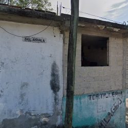 Ortodoncia Y Odontologia Integral