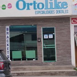 Ortolike