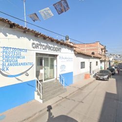 Ortoprodent