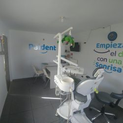 Paident