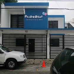 Paidodent