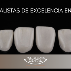 Panorama Dental León. Clínica De Especialidades Y Odontología General Asistida Por Microscopio
