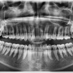 Paola Ceballos Odontología Integral Y Estética