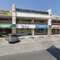 Patricia Guevara Soto Dentista Monterrey