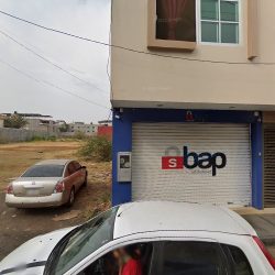 Pekedent