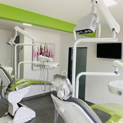 Periodontium