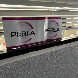 Perla Estética Dental