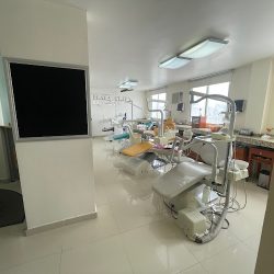 Plata & Plata Oral Care