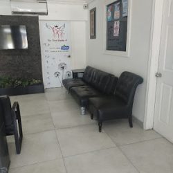 Princess Dental