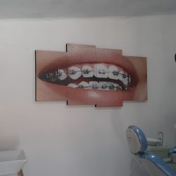 Pro Dental