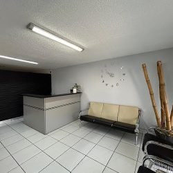 Pro-dental Studio