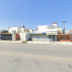 Profesional Dental Y Odontopediatría