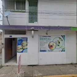 Protesis Dental