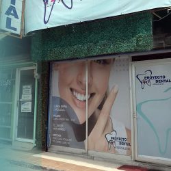 Proyecto Dental