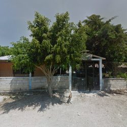 Quiropráctico Tzimol