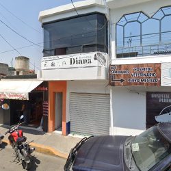 R_dental