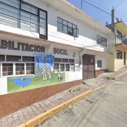 Rehabilitacion Bucal
