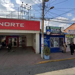 Rehabilitacion Bucal