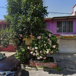 Negocio Remax Dental - Consultorio Dental - Odontopediatria