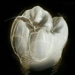 Renodent Odontologia Estetica E Integral