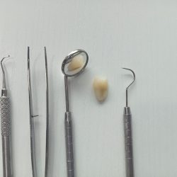 Reyna Dental- C.d. Perla Reyna