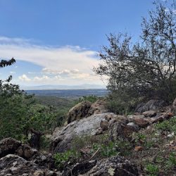 Rincon De Centeno-umaps