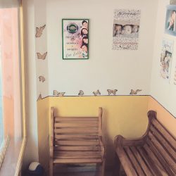 Rx Y Ortodoncia SonrÍe Centro